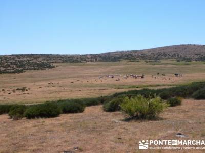 Pinar de Canencia y Mina de Plata del Indiano;asociaciones de senderismo;asociacion de senderismo